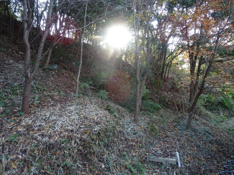 うみべの森を育てる会 & みさき里山クラブの共同打ち合わせ会 in うみべの森_c0108460_18452481.jpg