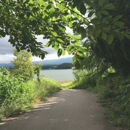 a0199262_11483637.jpg
