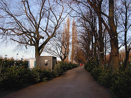 e0357367_101845.jpg