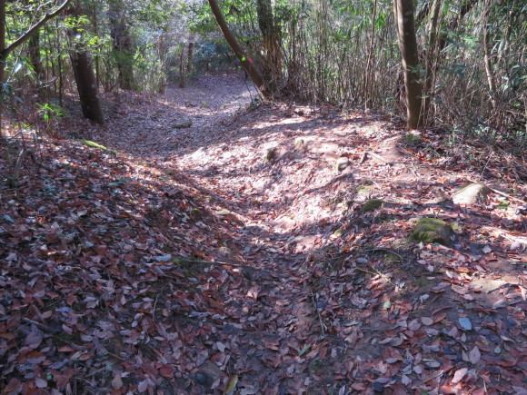c0001670_17021775.jpg