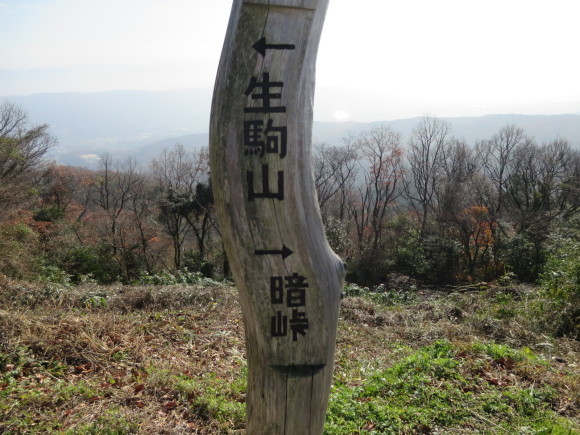 c0001670_17105025.jpg