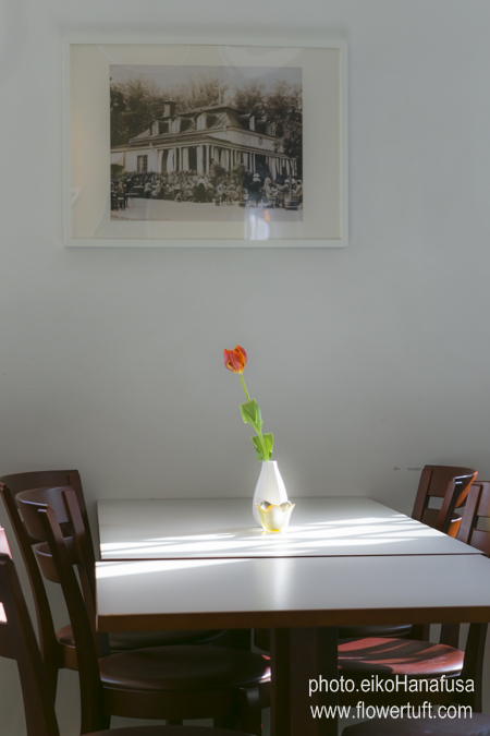 memories 2015 ①ストックホルムの街フォト_c0137872_16152934.jpg