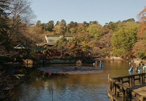 a0275676_1848483.jpg