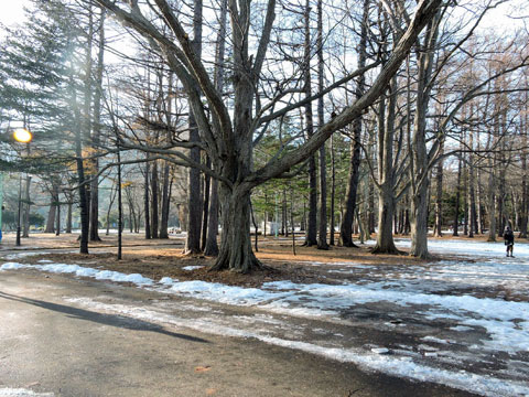f0083977_2365129.jpg