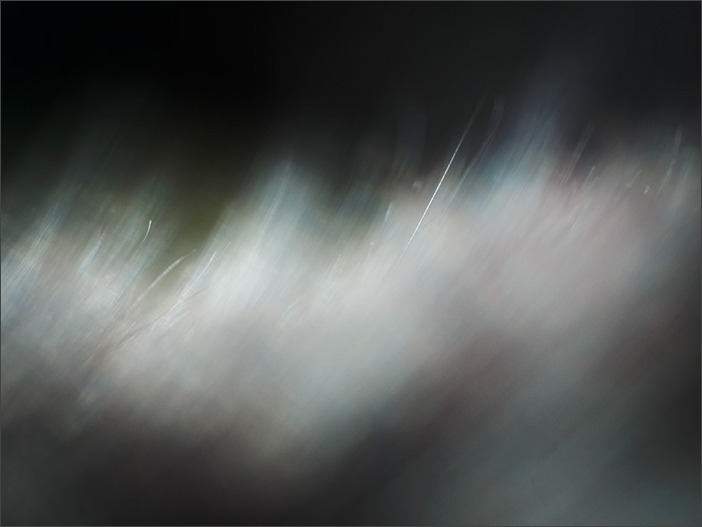 パーツ*マニアック編_a0161380_10364157.jpg