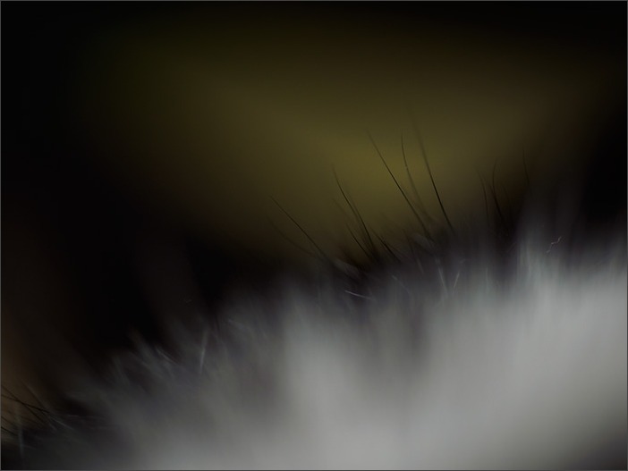 パーツ*マニアック編_a0161380_10442599.jpg