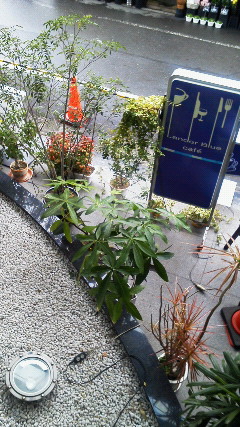 b0001280_1613381.jpg