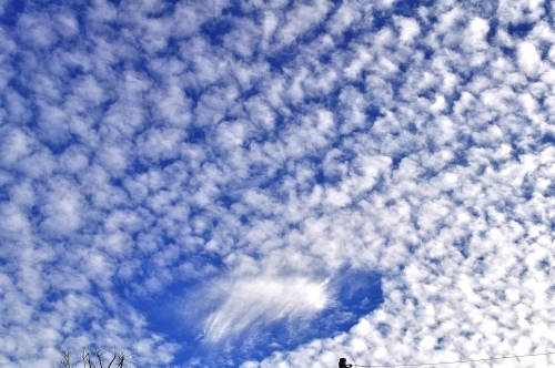 e0340485_12415000.jpg