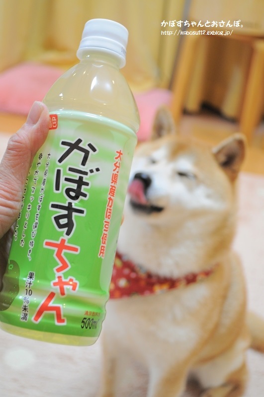 かぼすちゃん_a0126590_22364505.jpg