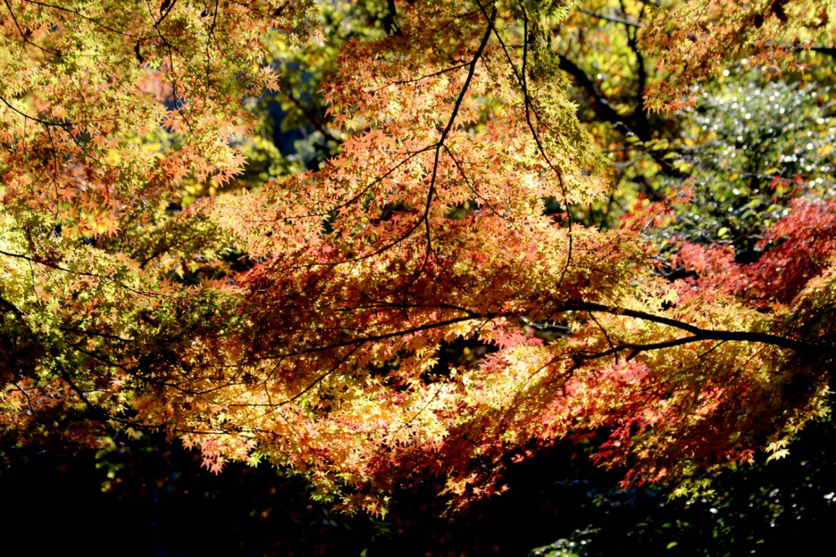 a0127090_13264181.jpg
