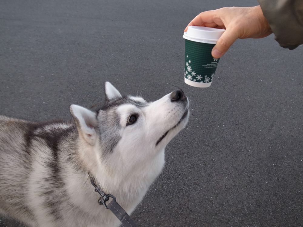 冬はごきげん (^o^)_c0049299_21501399.jpg