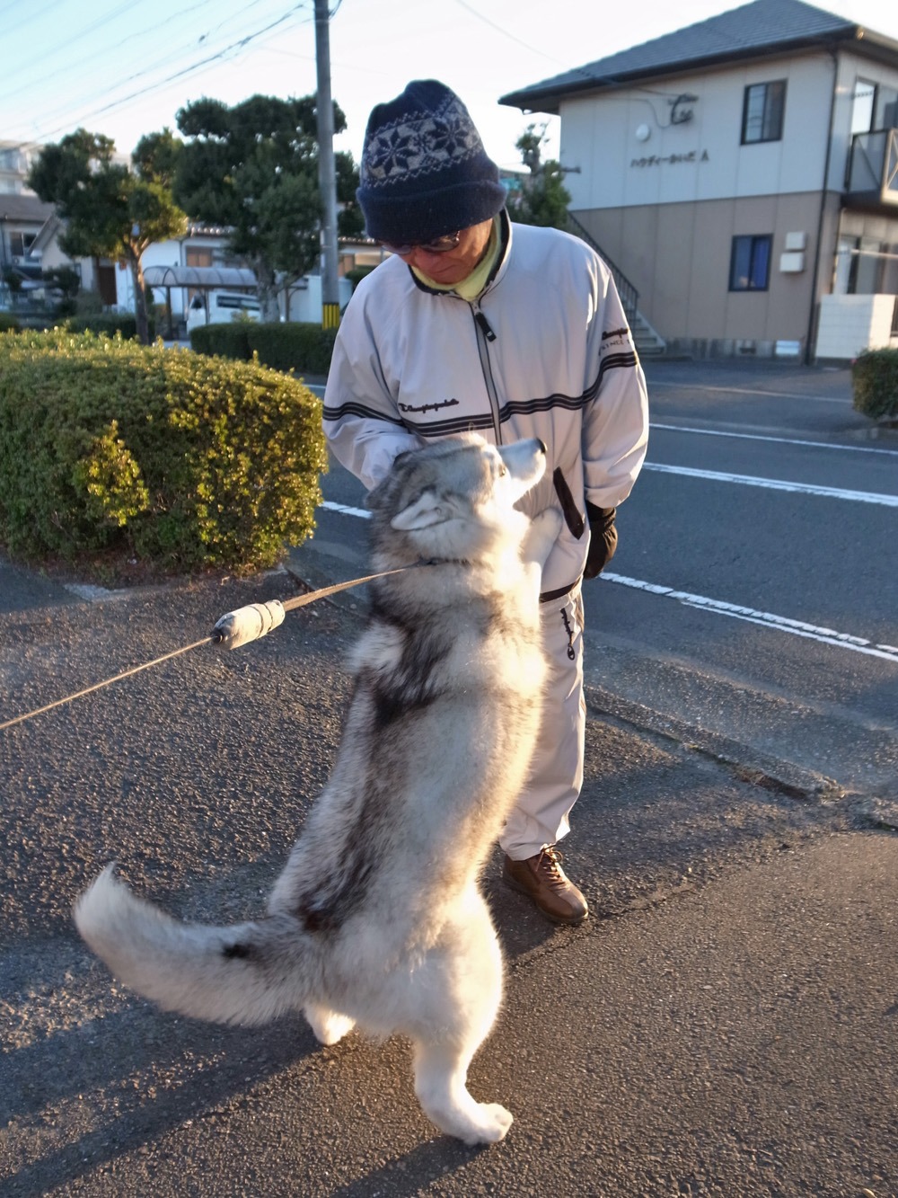 冬はごきげん (^o^)_c0049299_21521492.jpg