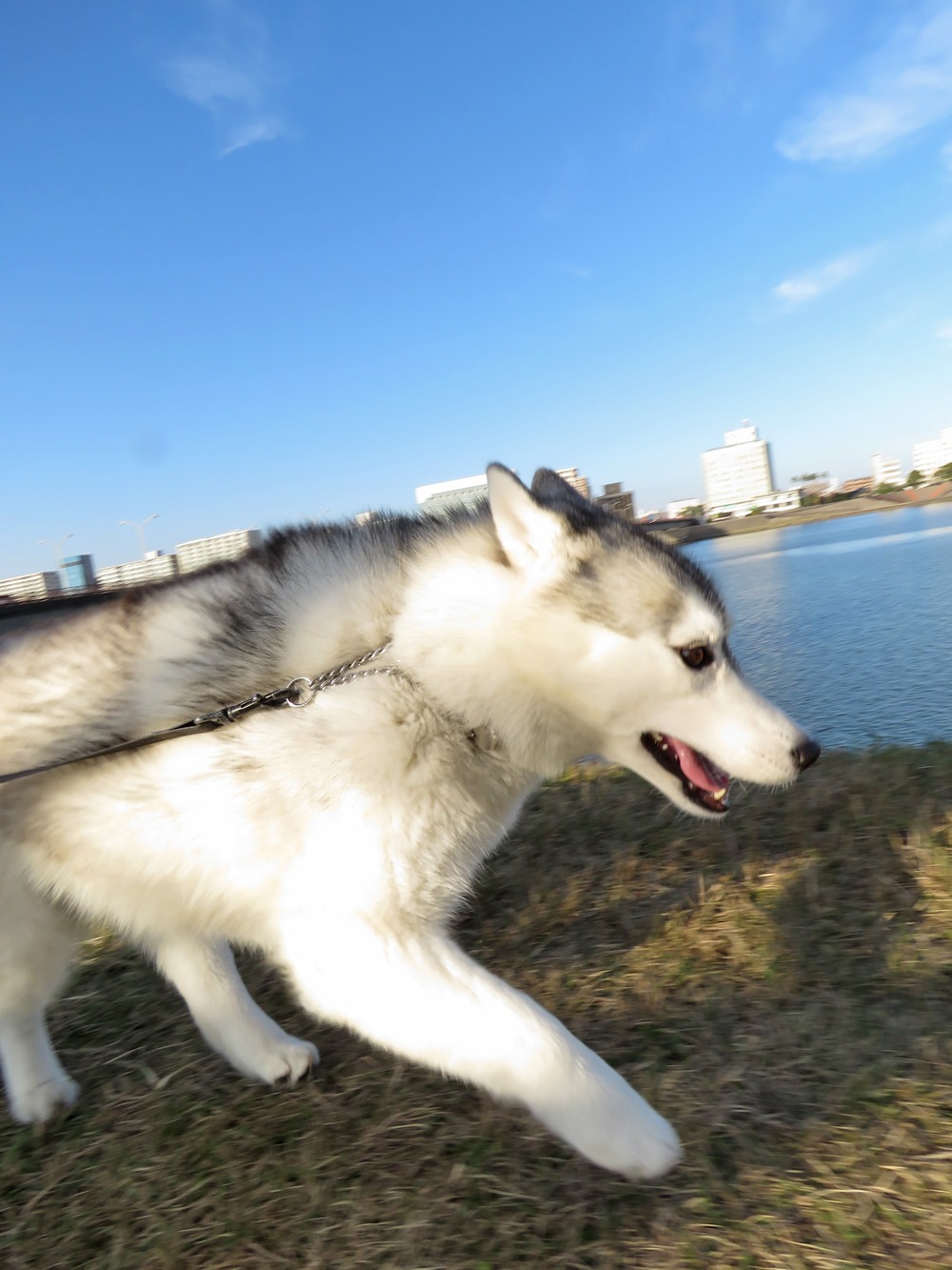 冬はごきげん (^o^)_c0049299_21535268.jpg