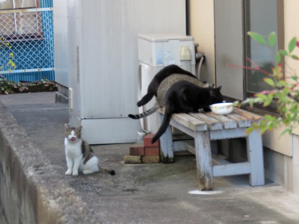 冬はごきげん (^o^)_c0049299_2156226.jpg