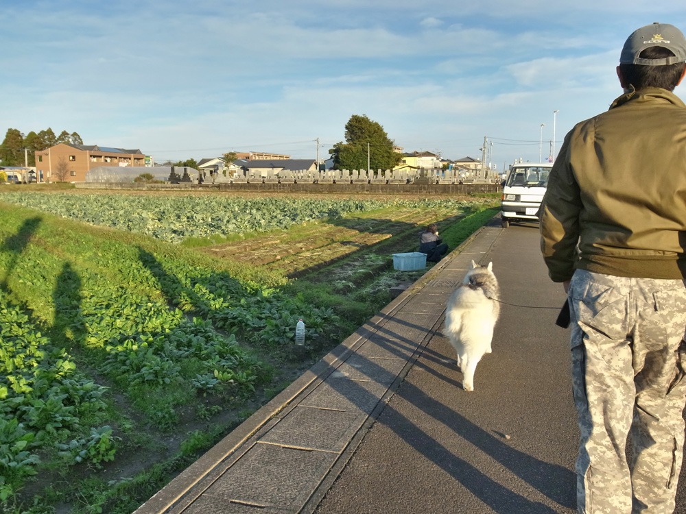 冬はごきげん (^o^)_c0049299_2211699.jpg