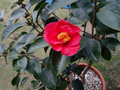 c0125501_2247863.jpg