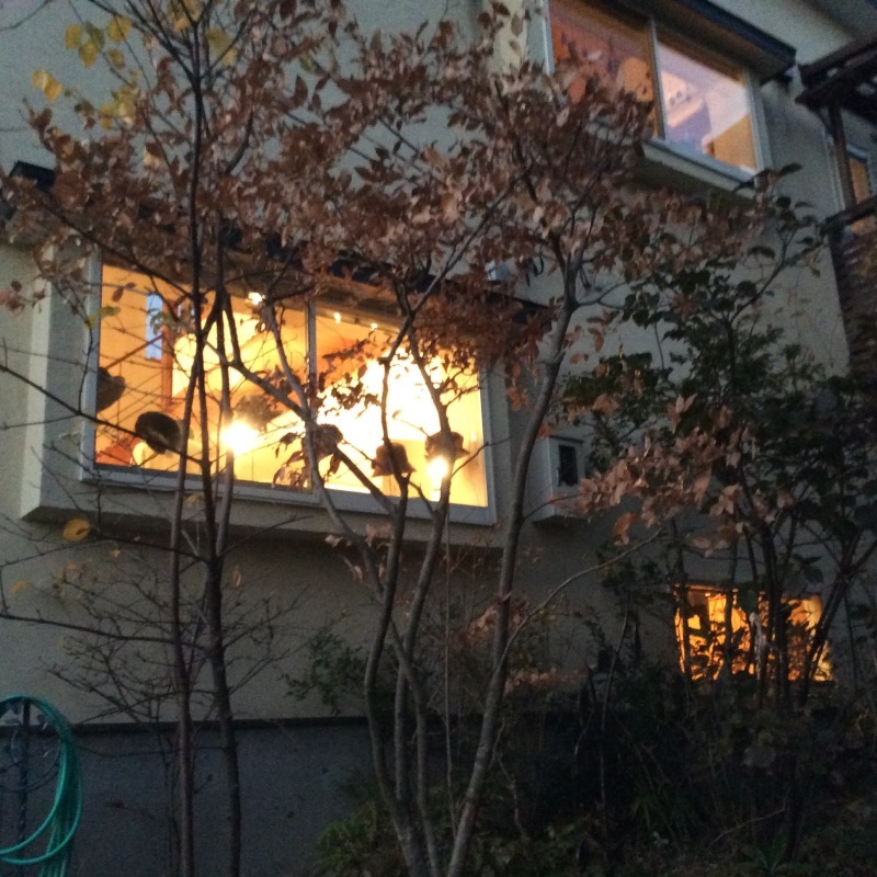 b0220002_00243073.jpeg
