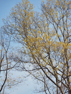 c0336902_1281614.jpg