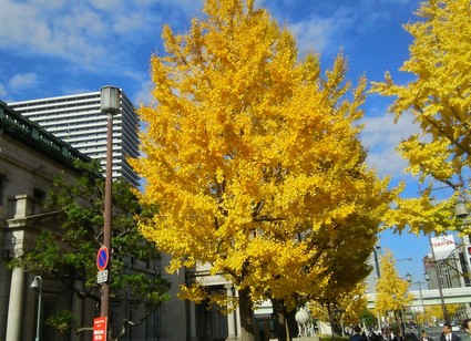 c0212604_17363325.jpg