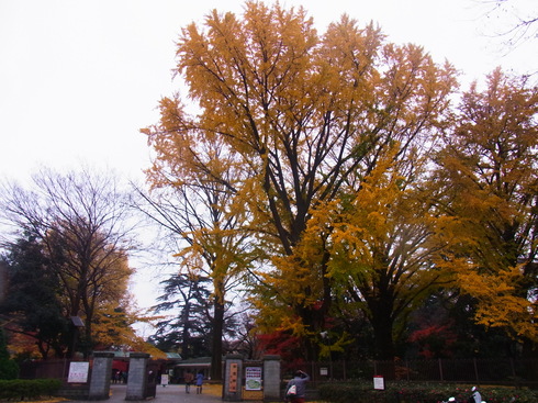 d0251807_18251956.jpg
