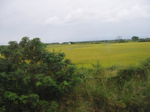 a0019212_11215292.jpg
