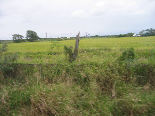 a0019212_1435137.jpg