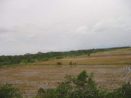 a0019212_1442440.jpg