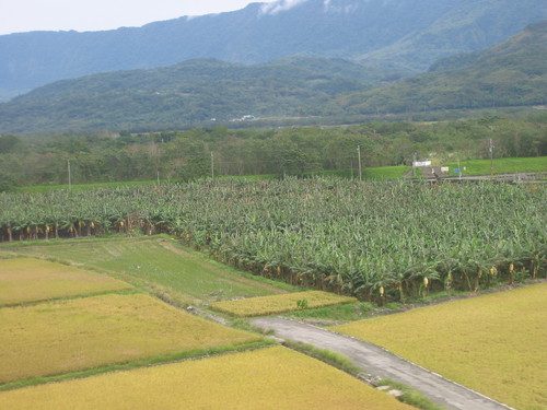 a0019212_1461397.jpg