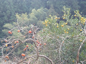 f0087620_16445740.jpg