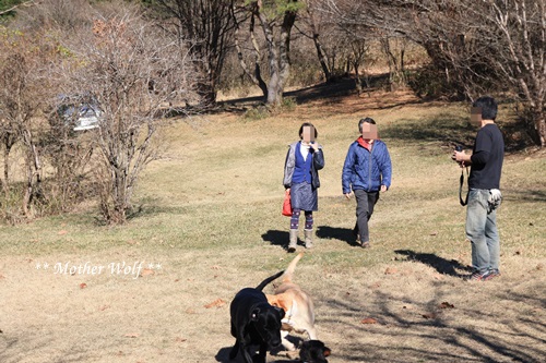 第5回キャンプ『マザーウルフCAMP~2015冬~in 静岡』_e0191026_1364667.jpg