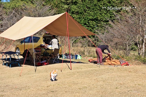 第5回キャンプ『マザーウルフCAMP~2015冬~in 静岡』_e0191026_1374647.jpg