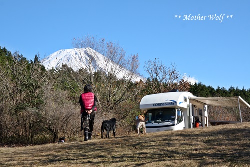 第5回キャンプ『マザーウルフCAMP~2015冬~in 静岡』_e0191026_17325188.jpg