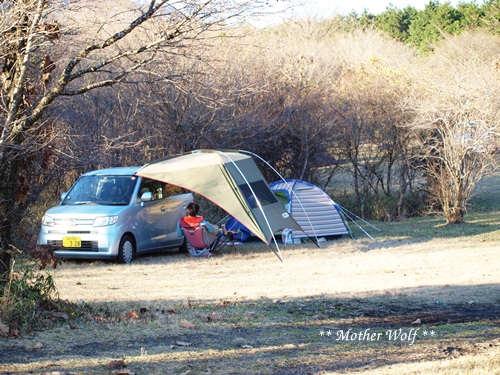 第5回キャンプ『マザーウルフＣＡＭＰ～2015冬～in 静岡』_e0191026_17421150.jpg