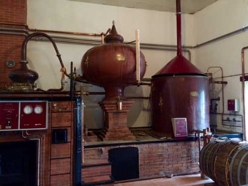 d0011635_17062916.jpg
