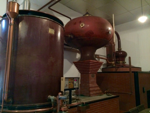 d0011635_17062997.jpg