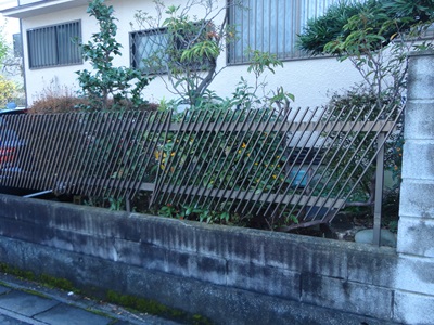 d0178136_13243061.jpg
