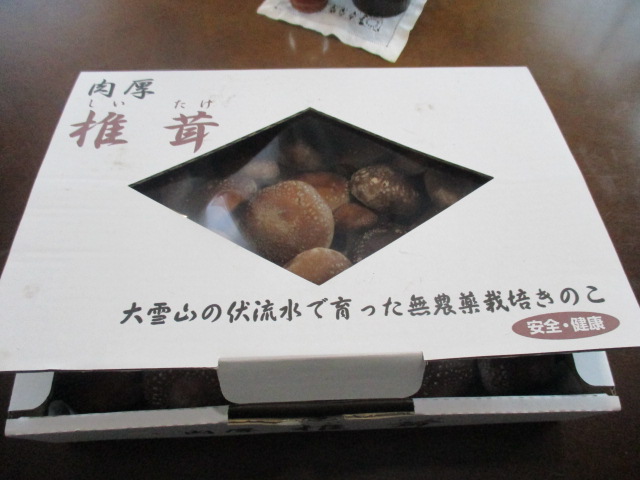 a0279743_952189.jpg