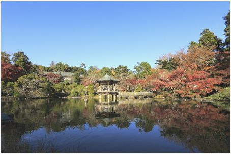 水辺の紅葉_c0236046_1838659.jpg