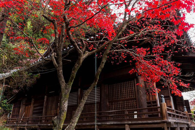 京都の紅葉2015・晩秋の山崎聖天_f0155048_22451964.jpg