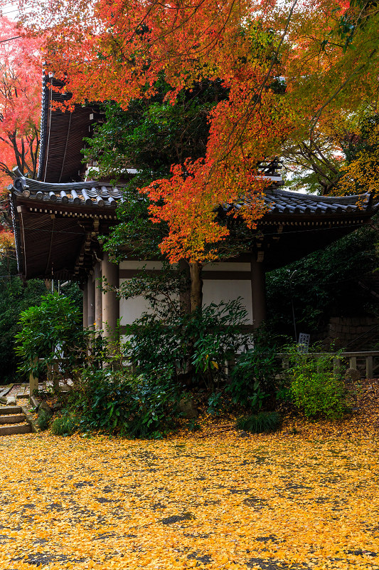 京都の紅葉2015・晩秋の山崎聖天_f0155048_22465742.jpg