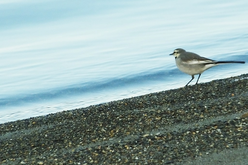 b0236251_12204410.jpg