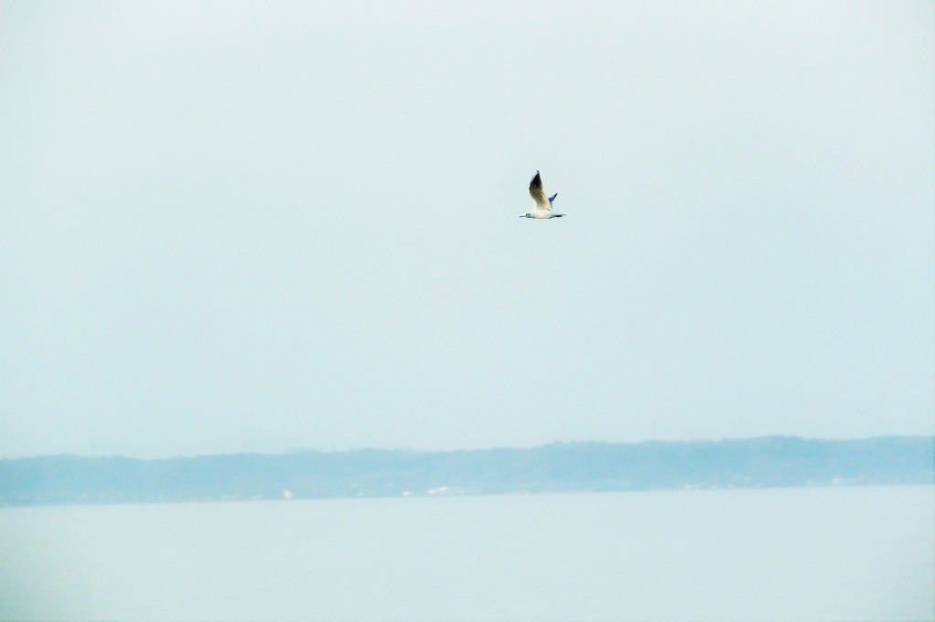 b0236251_122120100.jpg