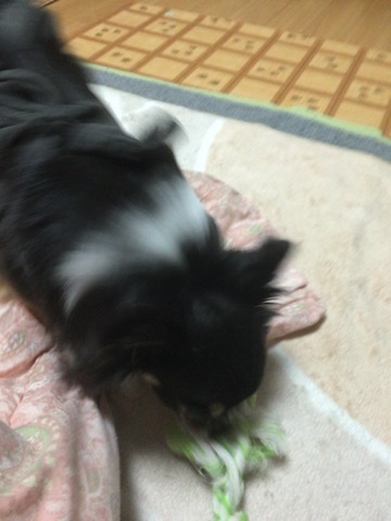 c0342854_18014503.jpeg
