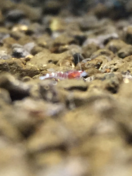 e0170757_17070069.jpg