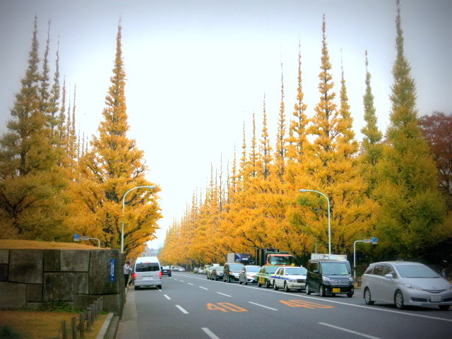 f0236260_2211676.jpg