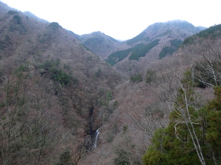 暖かい冬の山　　千石林道～瀬戸越_c0303868_8112925.jpg