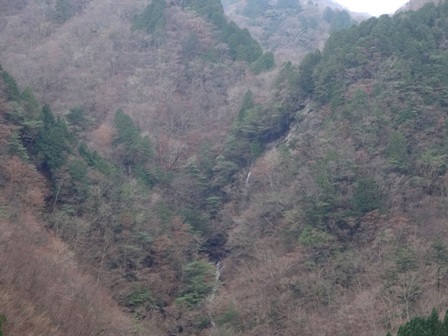 暖かい冬の山　　千石林道～瀬戸越_c0303868_8125223.jpg