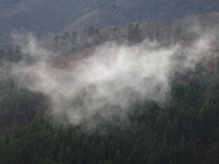 暖かい冬の山　　千石林道～瀬戸越_c0303868_825847.jpg