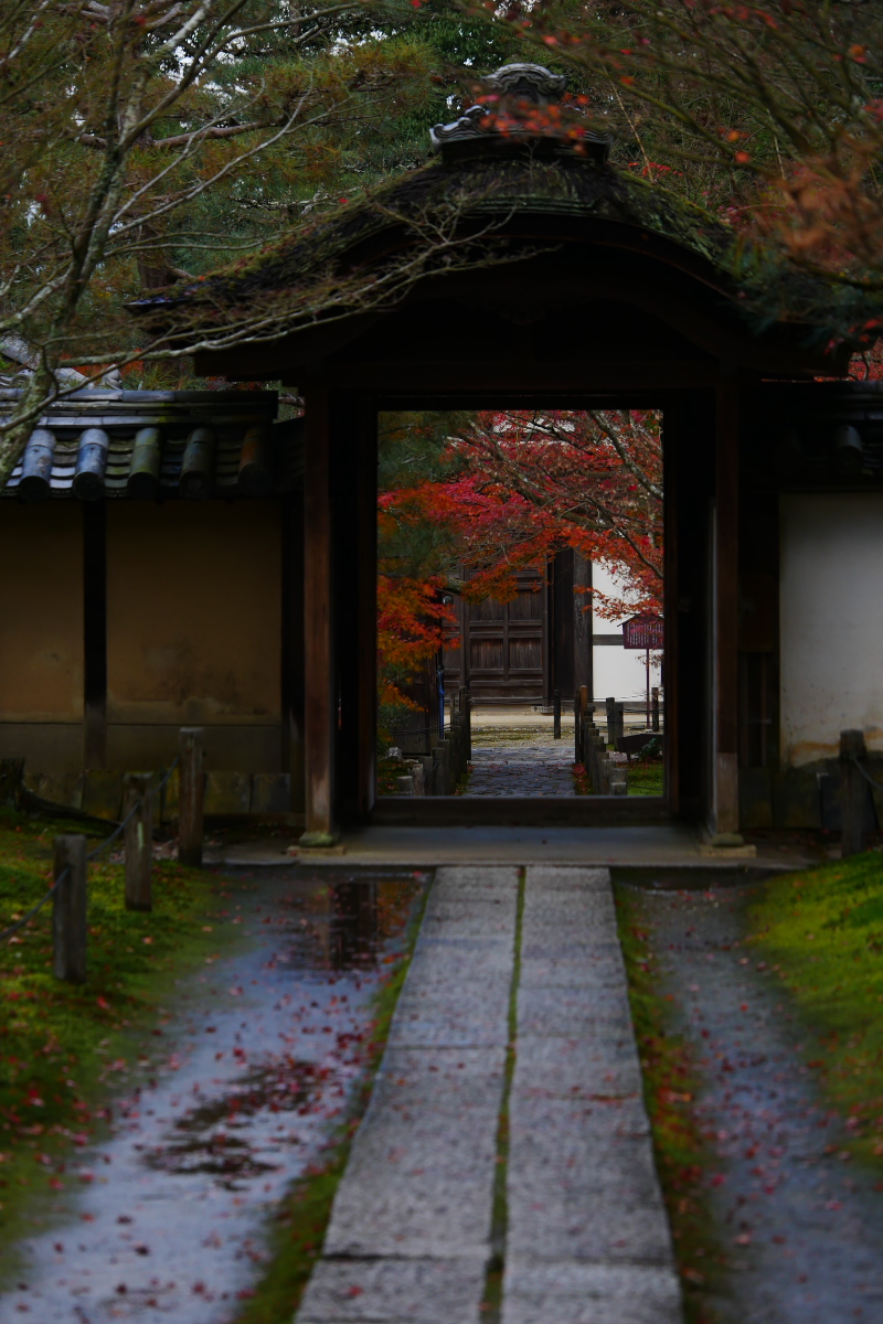 紅葉2015　　　一休寺　　　　　　　　　　　　　　　　　　　　　_f0021869_134930.jpg