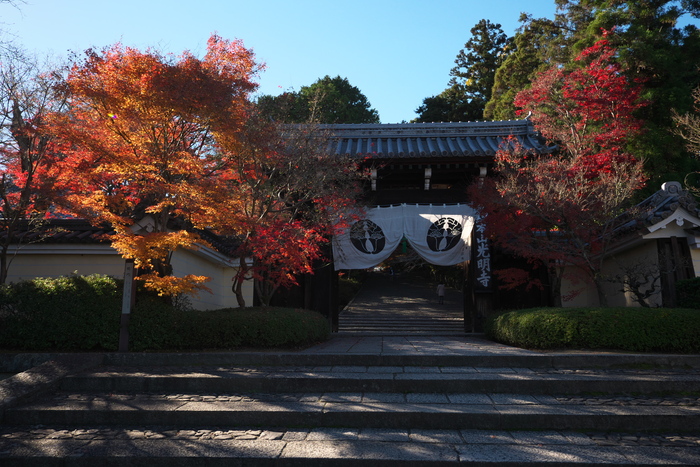 紅葉2015　　　光明寺　　　　　　　　　　　　　　　　　　　　_f0021869_22542892.jpg